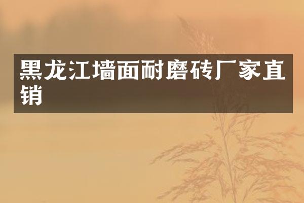 黑龙江墙面耐磨砖厂家直销