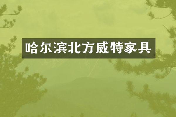 哈尔滨北方威特家具