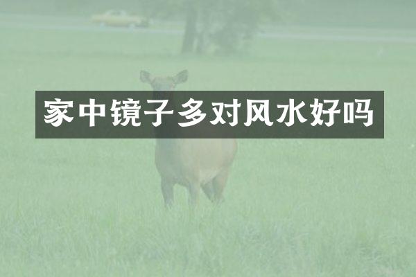 家中镜子多对风水好吗