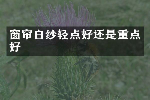 窗帘白纱轻点好还是重点好