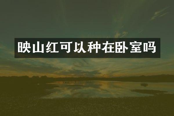 映山红可以种在卧室吗