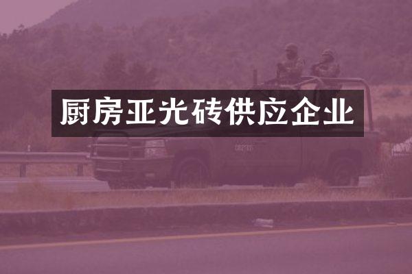 厨房亚光砖供应企业
