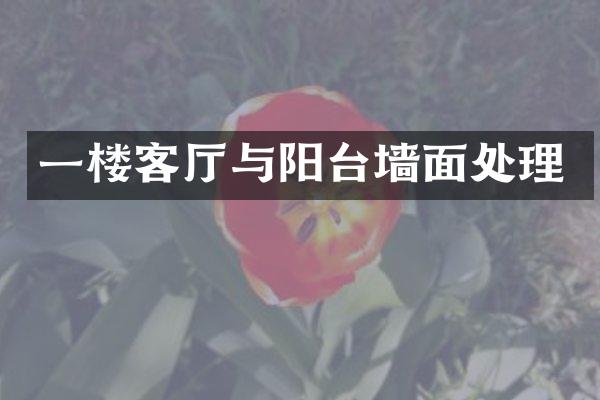 一楼客厅与阳台墙面处理