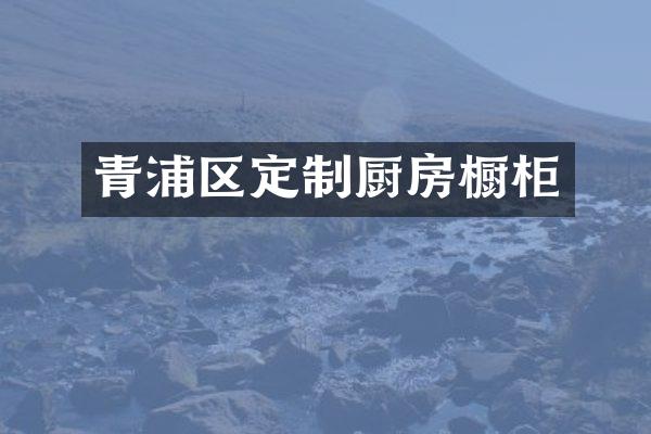 青浦区定制厨房橱柜