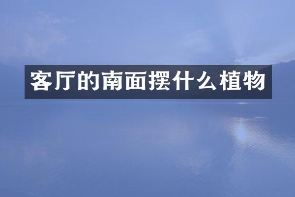 客厅的南面摆什么植物