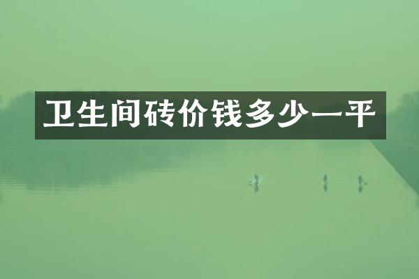卫生间砖价钱多少一平