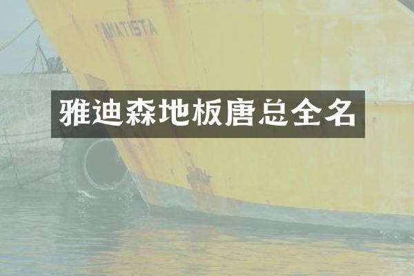 雅迪森地板唐总全名