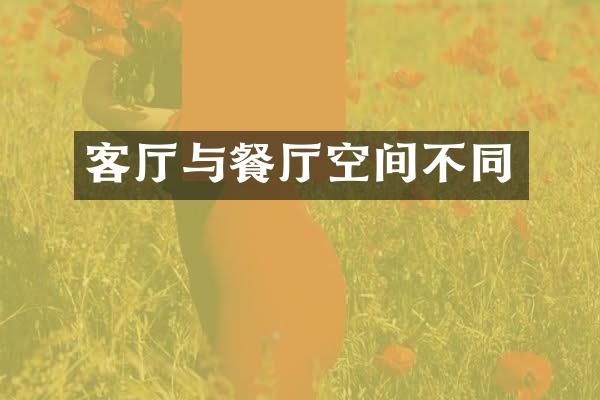 客厅与餐厅空间不同