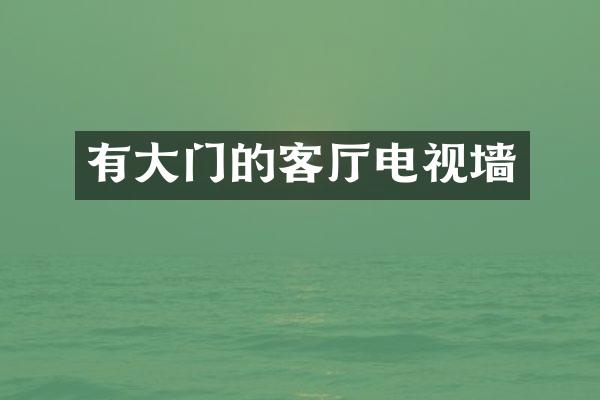 有大门的客厅电视墙