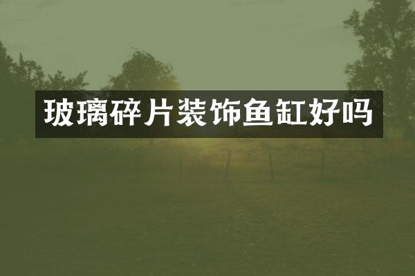 玻璃碎片装饰鱼缸好吗