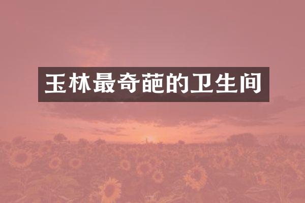 玉林最奇葩的卫生间