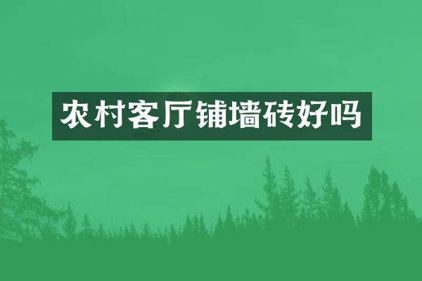 农村客厅铺墙砖好吗