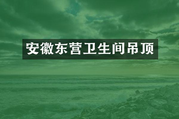 安徽东营卫生间吊顶