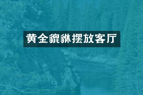黄金貔貅摆放客厅