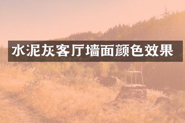 水泥灰客厅墙面颜色效果