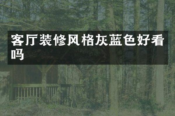 客厅装修风格灰蓝色好看吗
