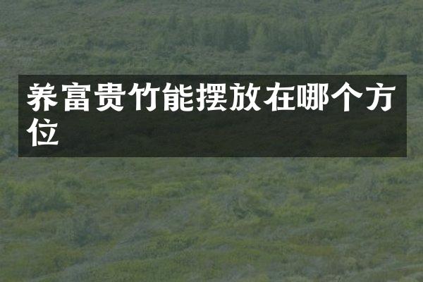 养富贵竹能摆放在哪个方位