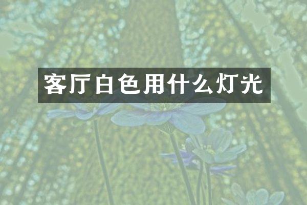 客厅白色用什么灯光