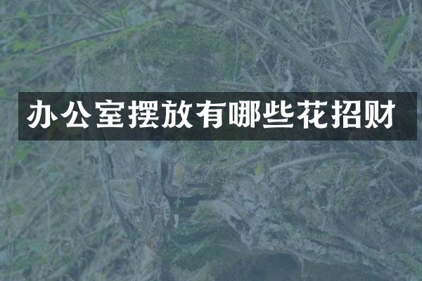 办公室摆放有哪些花招财