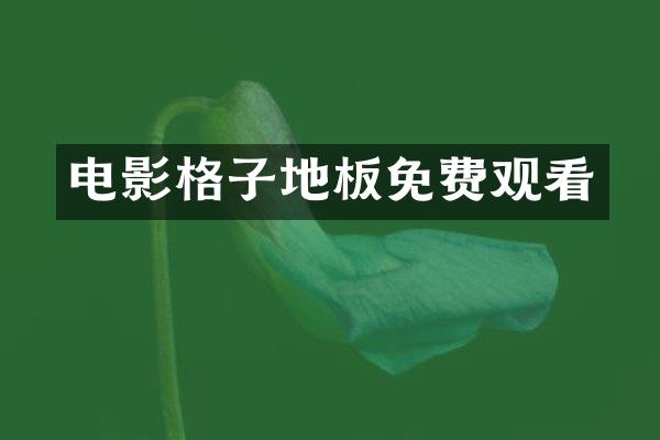 电影格子地板免费观看