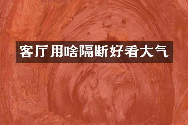客厅用啥隔断好看大气