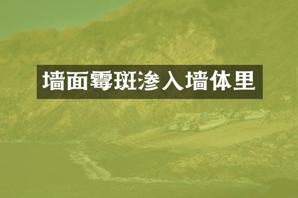 墙面霉斑渗入墙体里