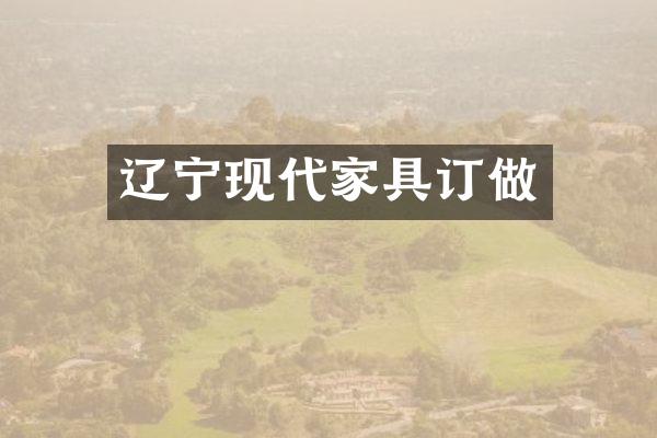 辽宁现代家具订做