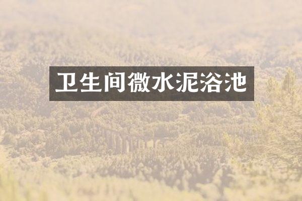 卫生间微水泥浴池