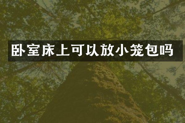 卧室床上可以放小笼包吗