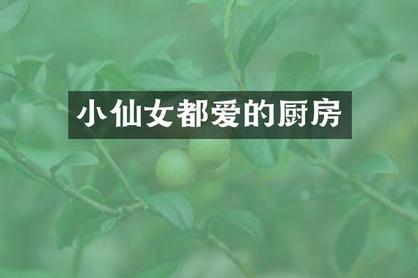 小仙女都爱的厨房