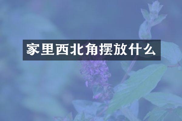 家里西北角摆放什么