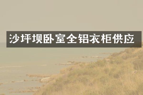 沙坪坝卧室全铝衣柜供应