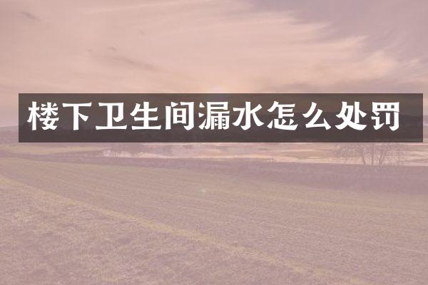楼下卫生间漏水怎么处罚