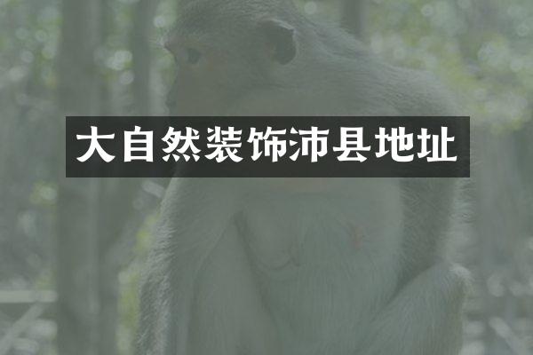 大自然装饰沛县地址