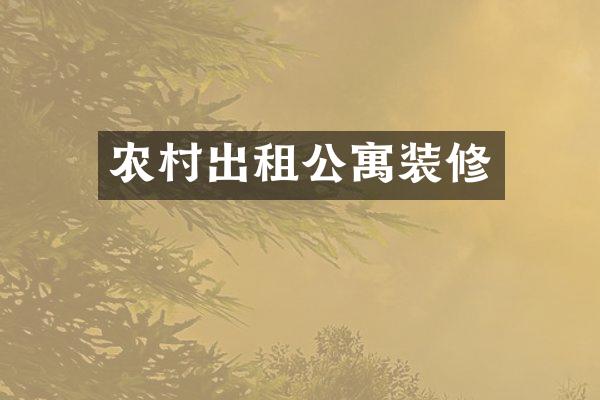 农村出租公寓装修