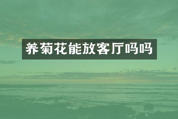 养菊花能放客厅吗吗