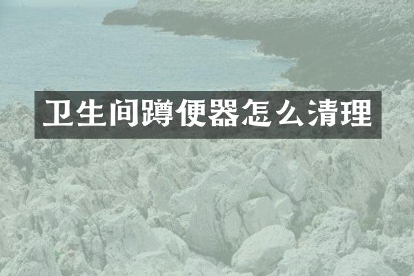 卫生间蹲便器怎么清理