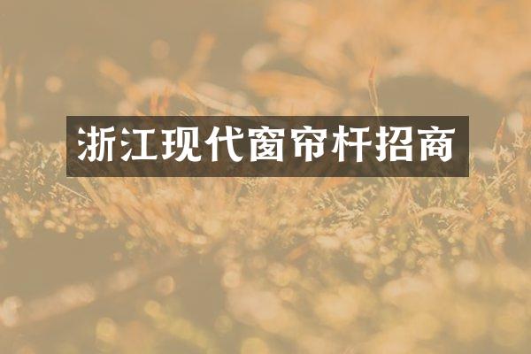 浙江现代窗帘杆招商
