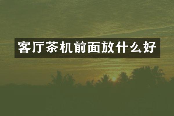 客厅茶机前面放什么好