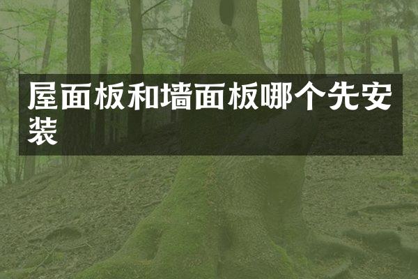 屋面板和墙面板哪个先安装