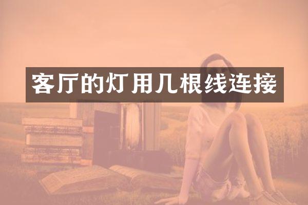客厅的灯用几根线连接