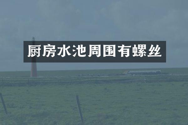 厨房水池周围有螺丝