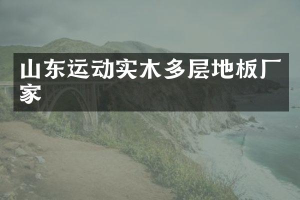 山东运动实木多层地板厂家