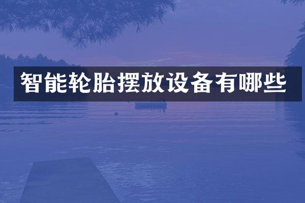 智能轮胎摆放设备有哪些