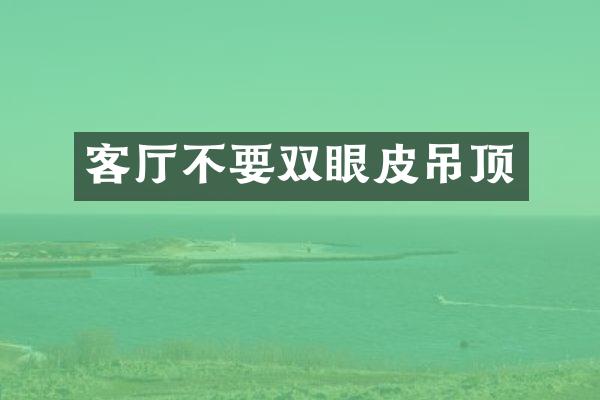 客厅不要双眼皮吊顶