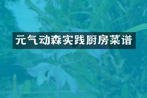 元气动森实践厨房菜谱