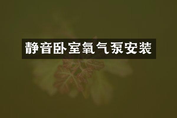静音卧室氧气泵安装