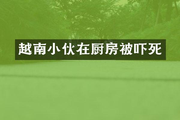 越南小伙在厨房被吓死