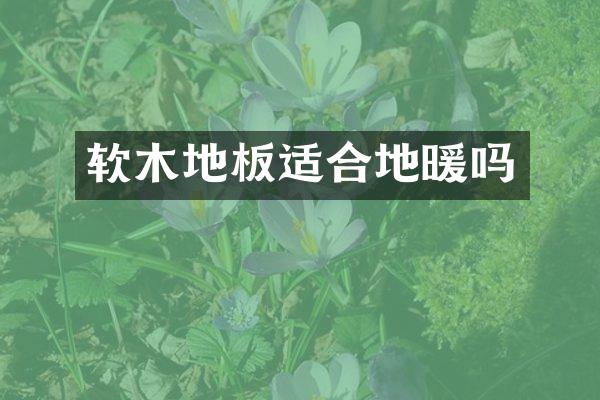 软木地板适合地暖吗