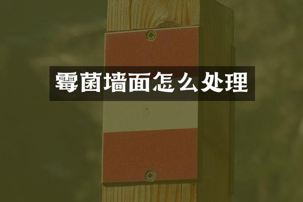 霉菌墙面怎么处理